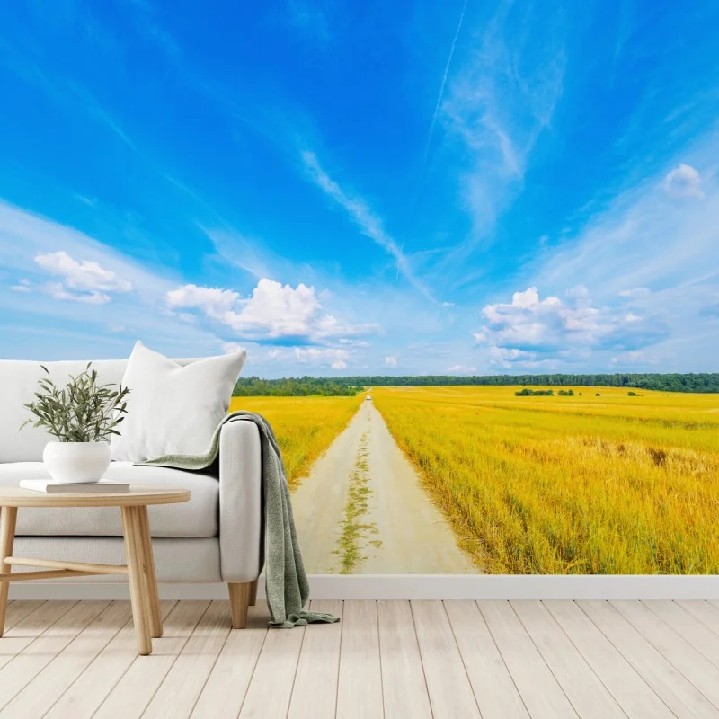 Fototapete goldene wiese unter weitem blauem himmel