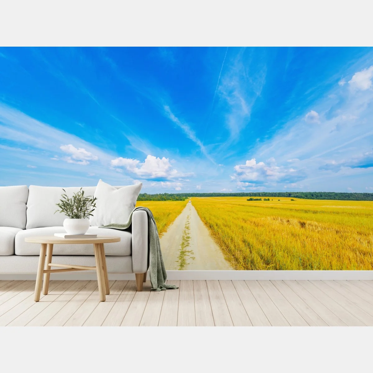 Fototapete goldene wiese unter weitem blauem himmel – Wallnifity® Fototapete goldene wiese unter weitem blauem himmel – Wallnifity®