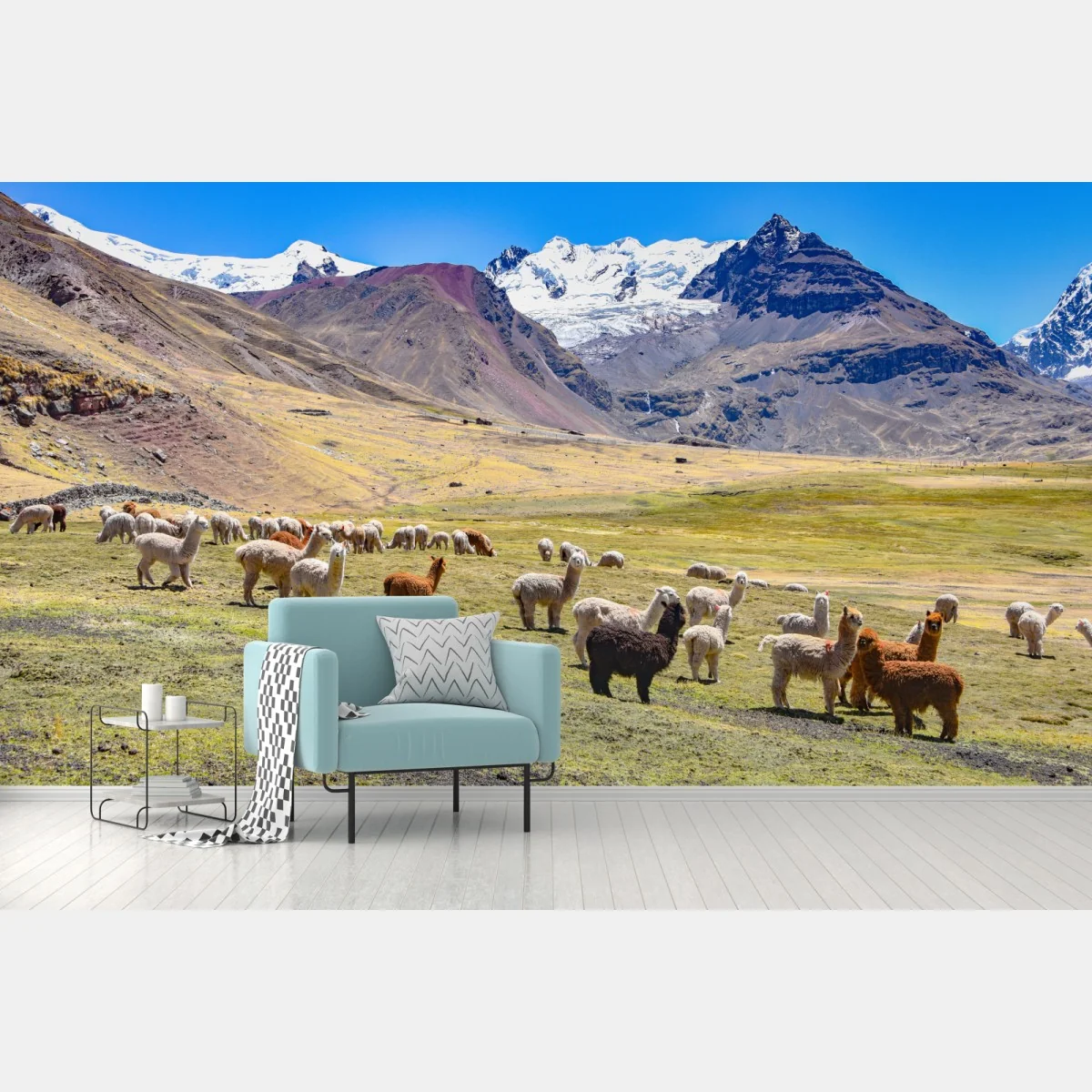 Fototapete alpakas und lamas weiden bei Mt Ausangate, Cusco – Wallnifity® Fototapete alpakas und lamas weiden bei Mt Ausangate, Cusco – Wallnifity®