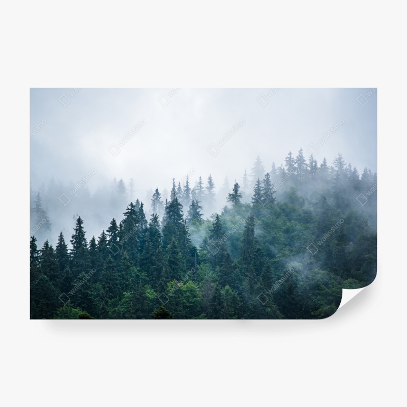 Fototapete monochrome stadtsilhouette bei nacht – Wallnifity®