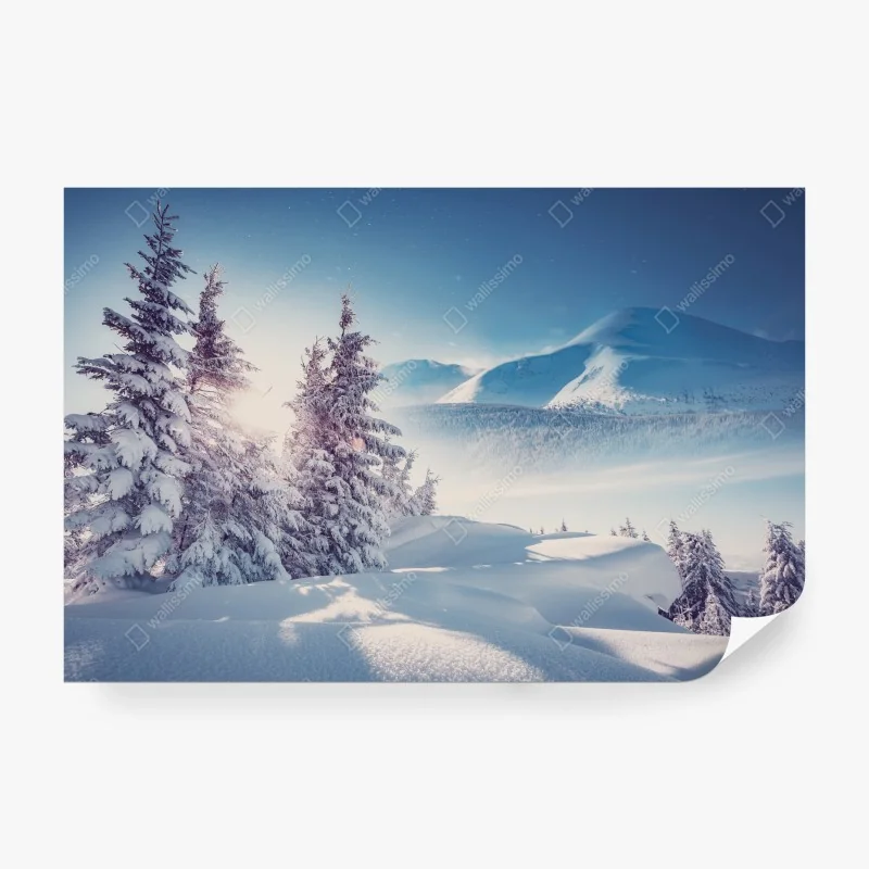 Fototapete bunte weltkarte mit tieren – Wallnifity®