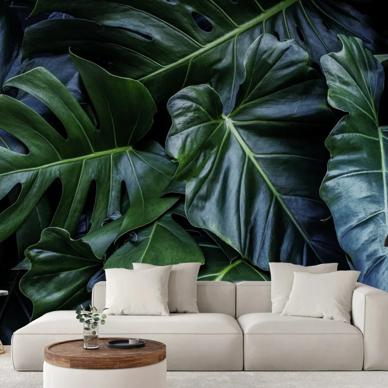 Fototapete üppige tropische monstera-blätter