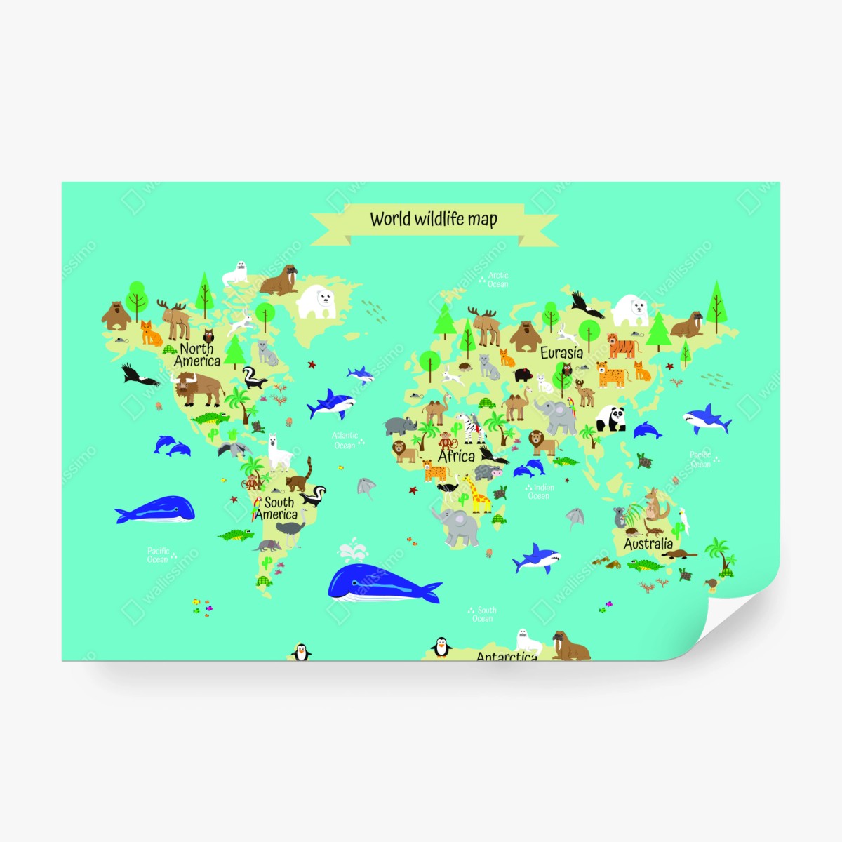 Fototapete weltkarte der tierwelt für kinder – Wallnifity® Fototapete weltkarte der tierwelt für kinder – Wallnifity®