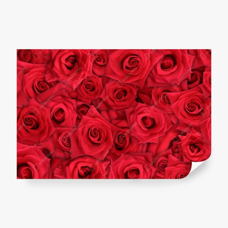 Fototapete vintage botanisches blumenmuster in gelb und grau – Wallnifity®