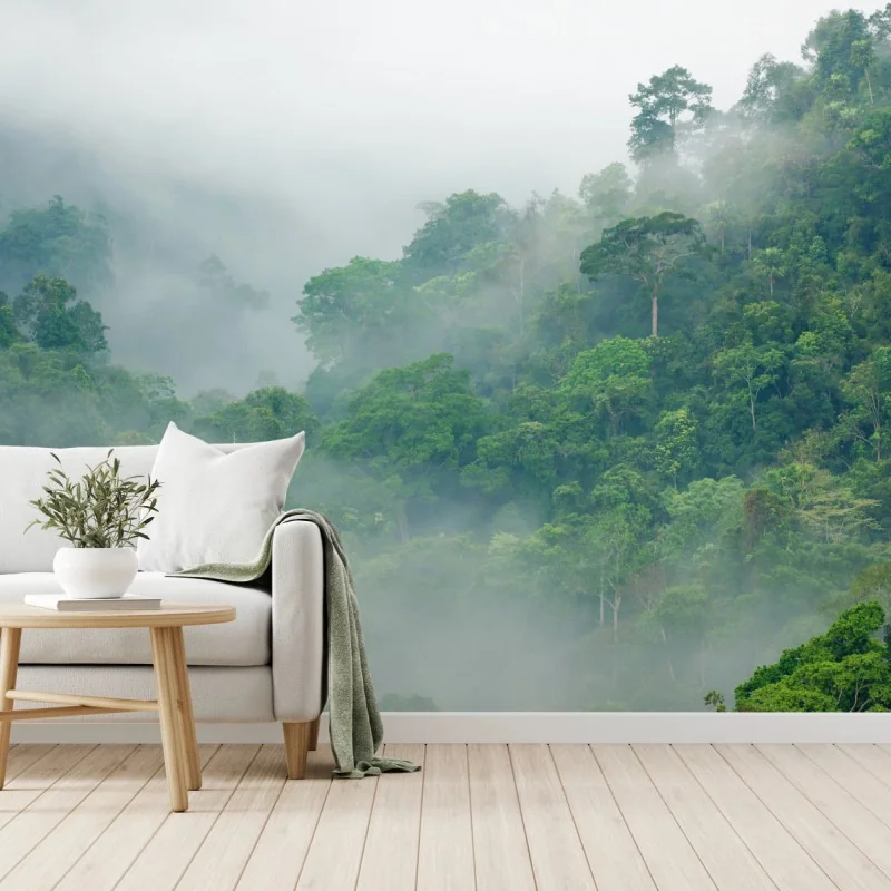 Fototapete morgendlicher nebel über Kaeng Krachan