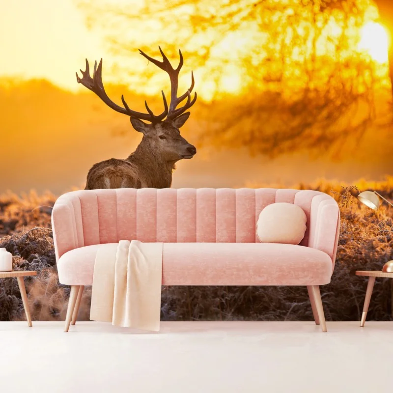 Fototapete goldener hirsch im sonnenaufgang