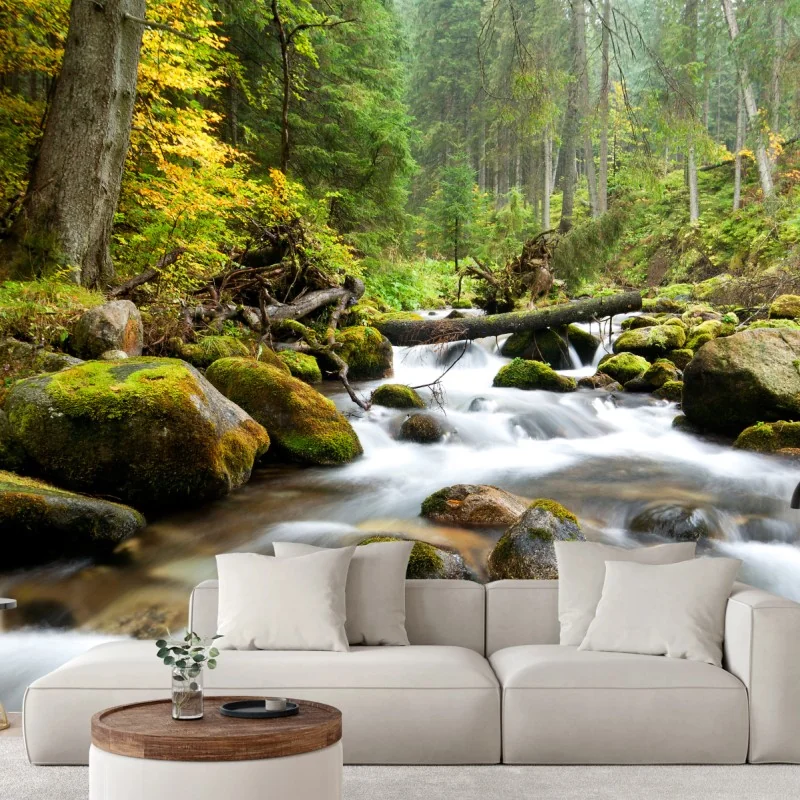 Fototapete moosbedeckter waldbach im herbst – Wallnifity® Fototapete moosbedeckter waldbach im herbst – Wallnifity®