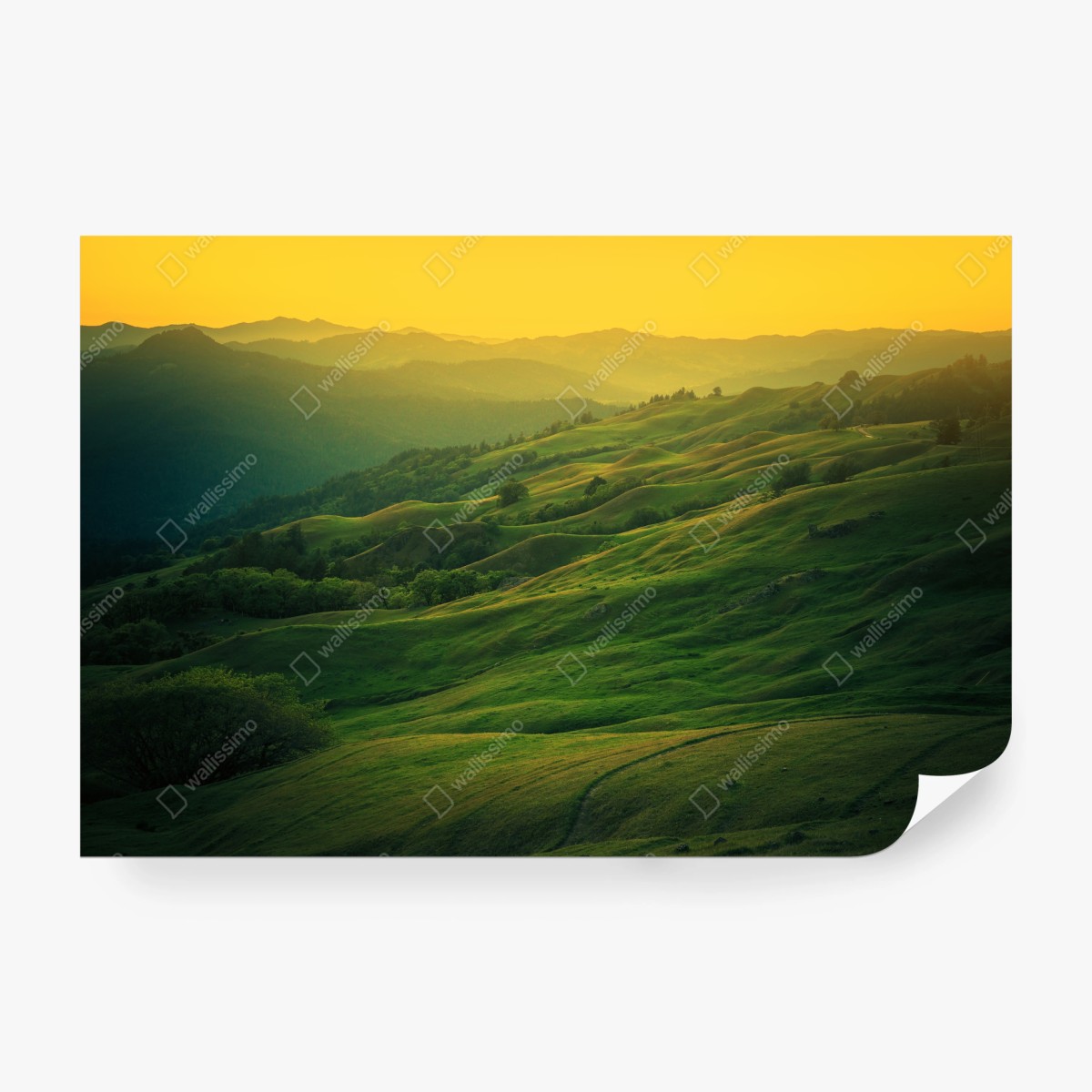 Fototapete hügel von Nordkalifornien bei sonnenuntergang – Wallnifity® Fototapete hügel von Nordkalifornien bei sonnenuntergang – Wallnifity®