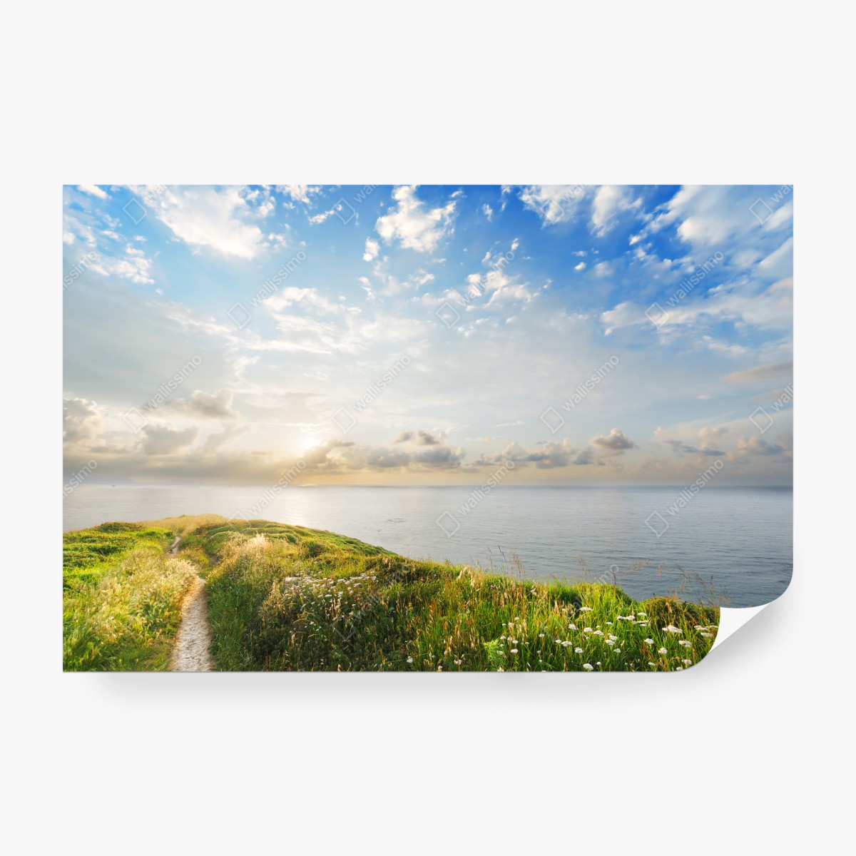 Fototapete sonniger küstenpfad zum meer – Wallnifity® Fototapete sonniger küstenpfad zum meer – Wallnifity®