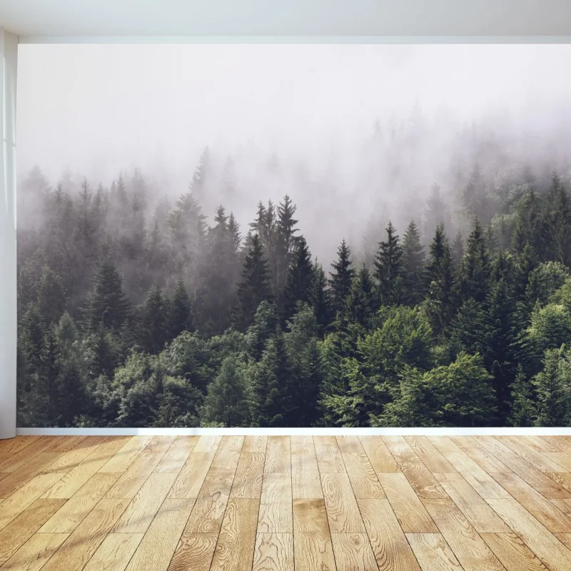 Fototapete nebelverhangener nadelwald am berghang
