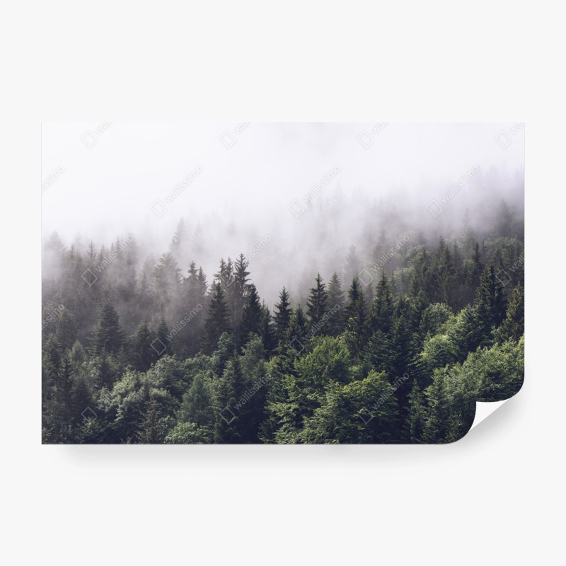 Fototapete leuchtendes zitronenmuster mit blüten – Wallnifity®