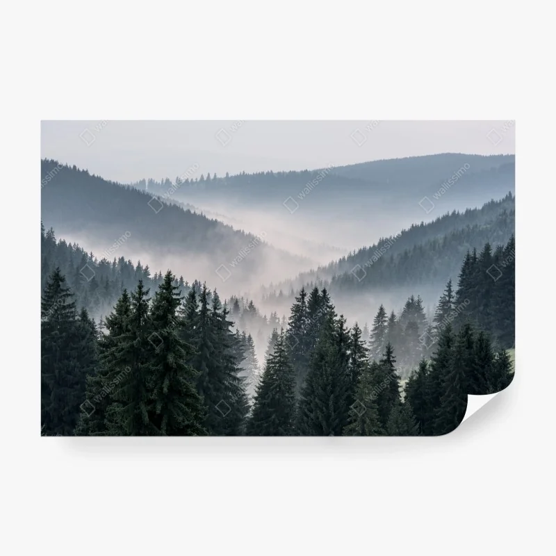 Fototapete nebliger bergwald