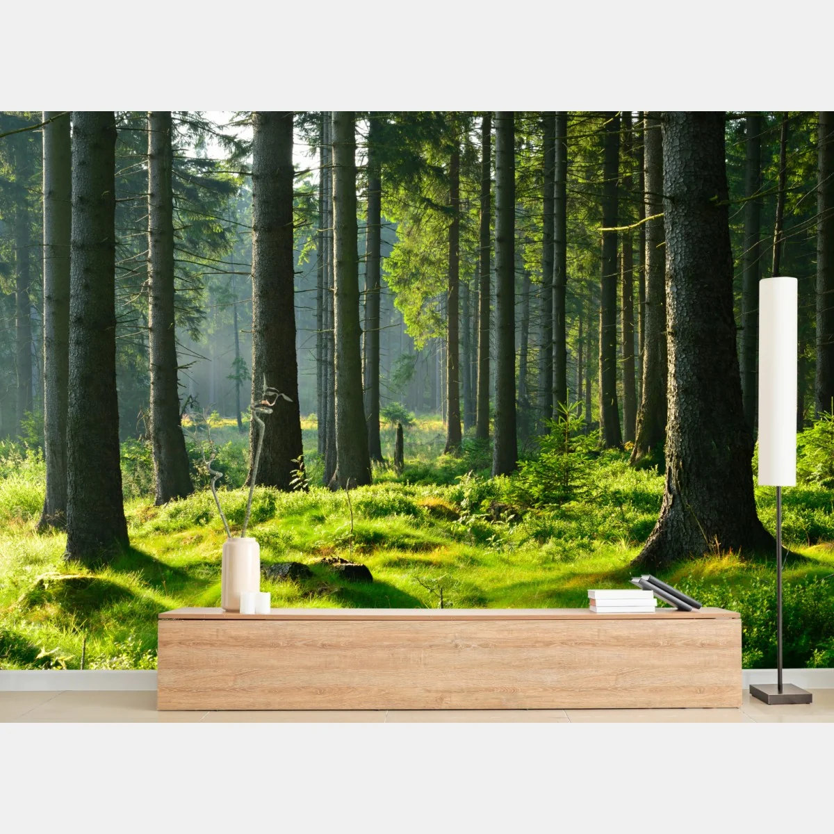 Fototapete sonnige grüne lichtung im wald – Wallnifity®