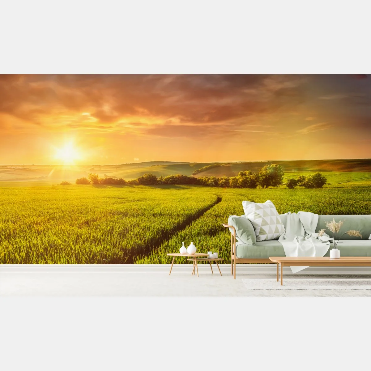 Fototapete sonnenbeschienene wiese im abendlicht – Wallnifity®