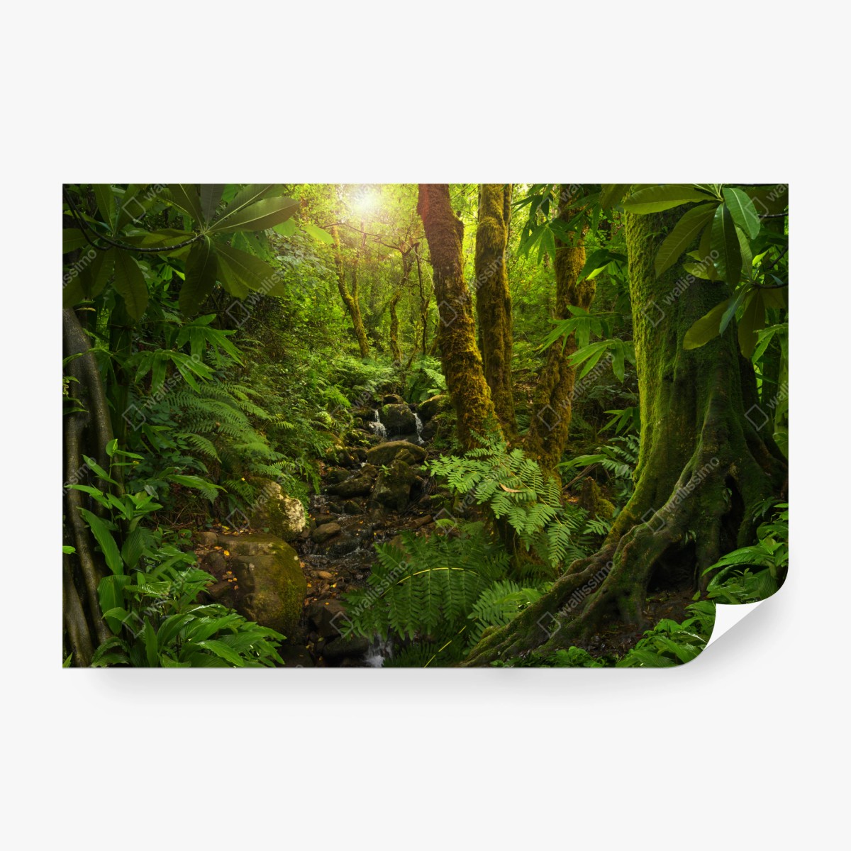 Fototapete moosiger waldbach im sonnenlicht – Wallnifity® Fototapete moosiger waldbach im sonnenlicht – Wallnifity®