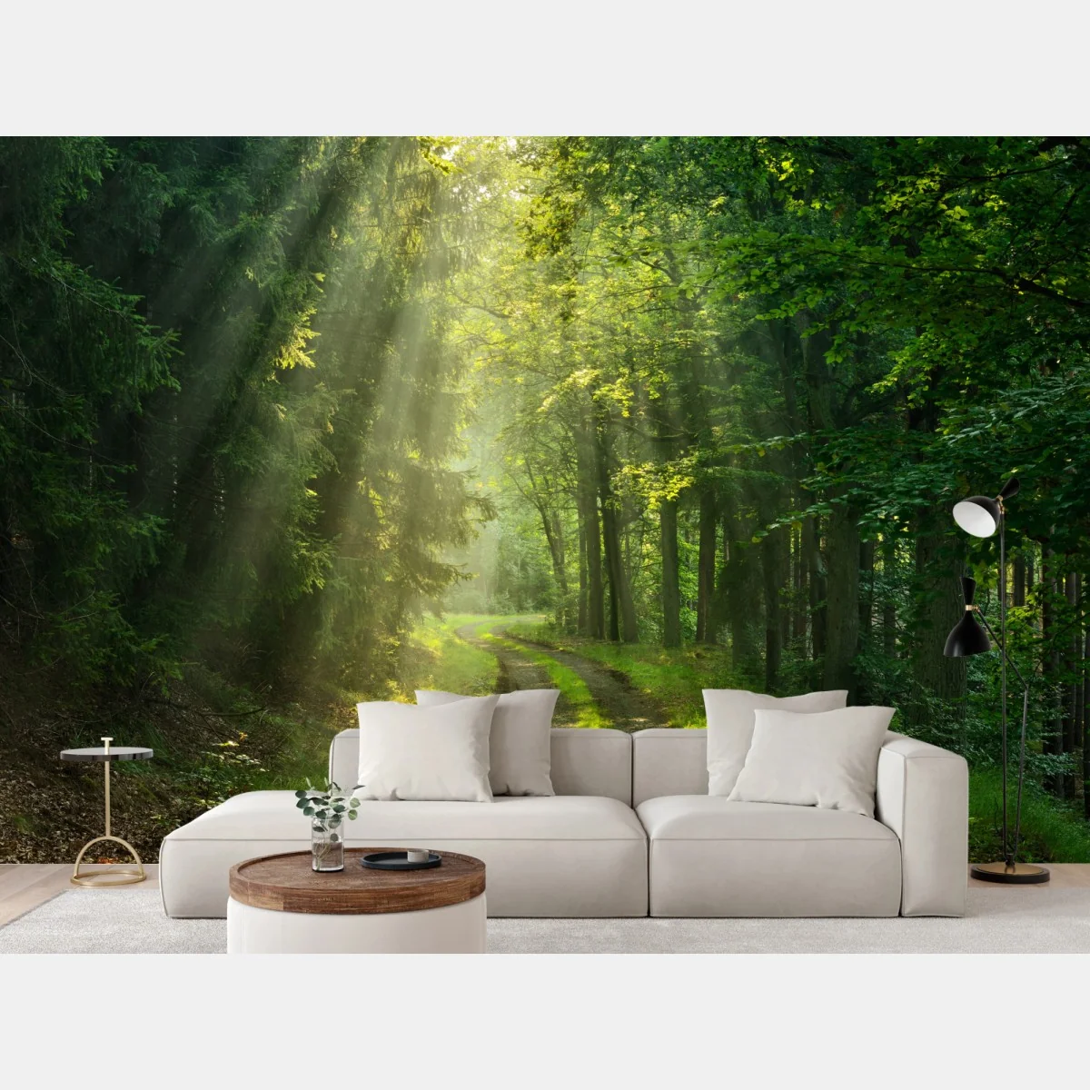 Fototapete sonnenbeschienener waldpfad – Wallnifity® Fototapete sonnenbeschienener waldpfad – Wallnifity®