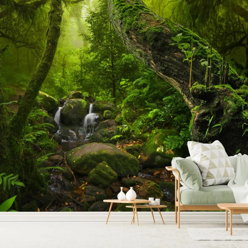 Fototapete moosiger waldbach im morgenlicht – Wallnifity®