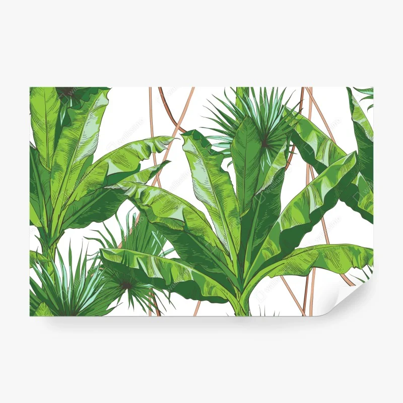 Fototapete sonnenbeleuchteter sandsteincanyon mit lebendigen kurven – Wallnifity®