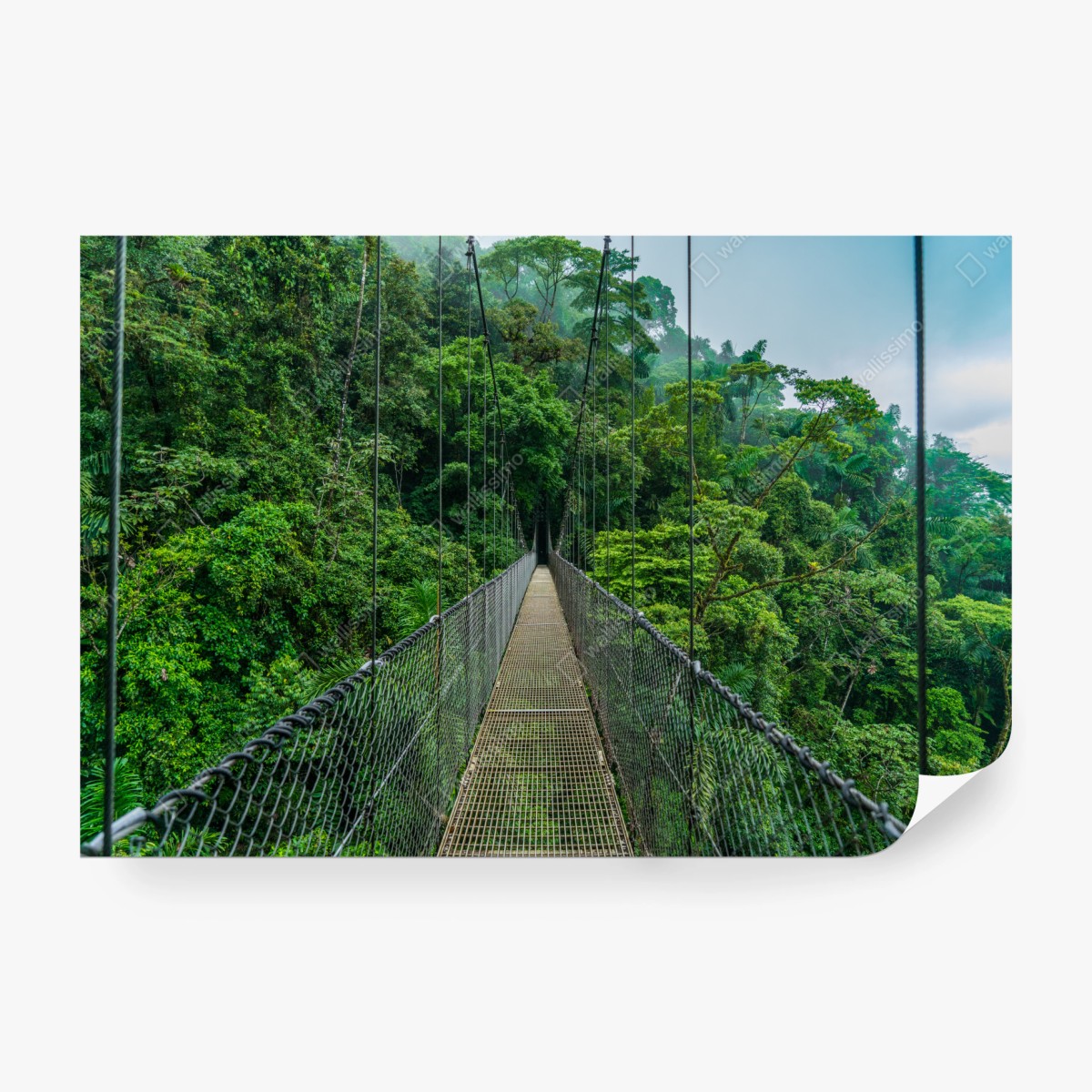 Fototapete hängende brücke im dichten dschungel – Wallnifity® Fototapete hängende brücke im dichten dschungel – Wallnifity®