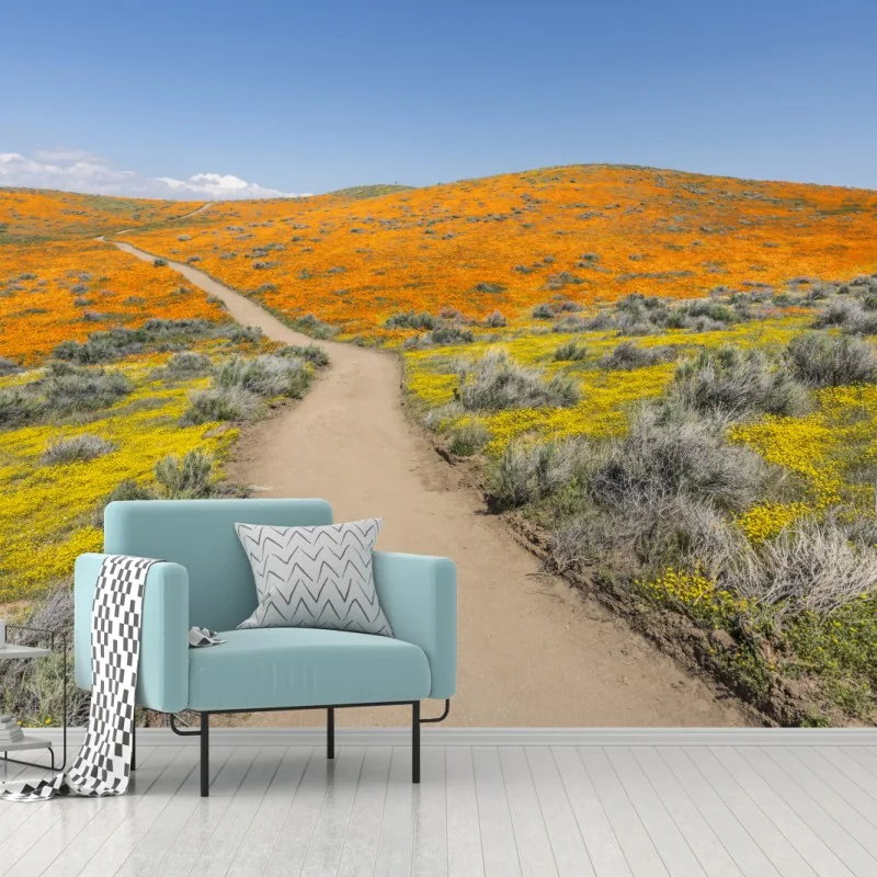 Fototapete pfad durch den mohn-superbloom in Südkalifornien – Wallnifity® Fototapete pfad durch den mohn-superbloom in Südkalifornien – Wallnifity®