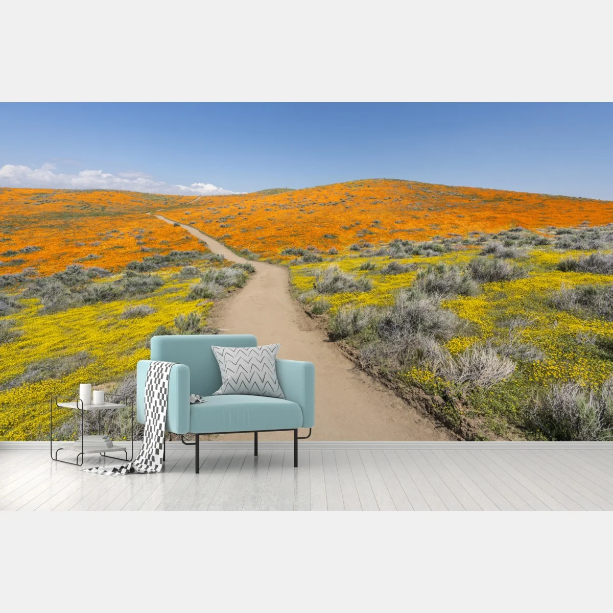 Fototapete pfad durch den mohn-superbloom in Südkalifornien – Wallnifity® Fototapete pfad durch den mohn-superbloom in Südkalifornien – Wallnifity®