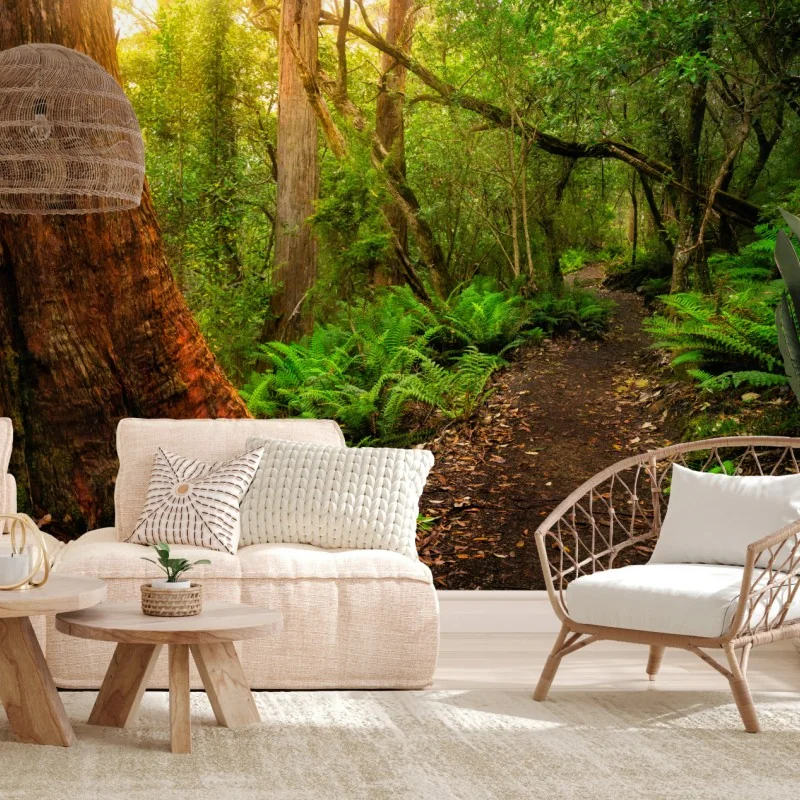 Fototapete urwaldpfad in Tasmanien