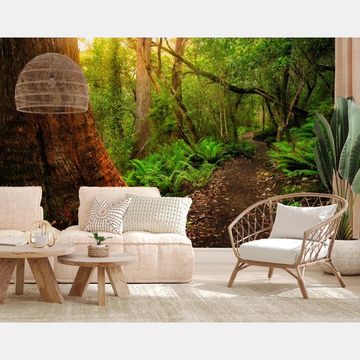 Fototapete urwaldpfad in Tasmanien – Wallnifity® Fototapete urwaldpfad in Tasmanien – Wallnifity®