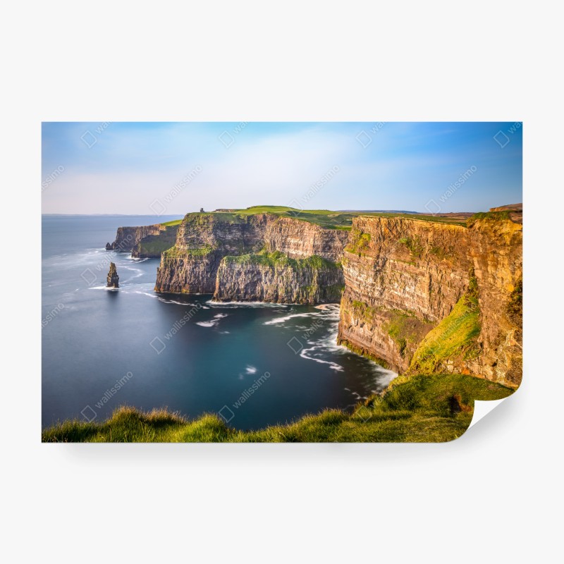 Fototapete üppige tropische blätter – Wallnifity®