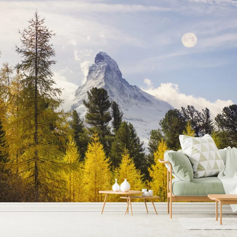 Fototapete goldene lärchen und Matterhorn