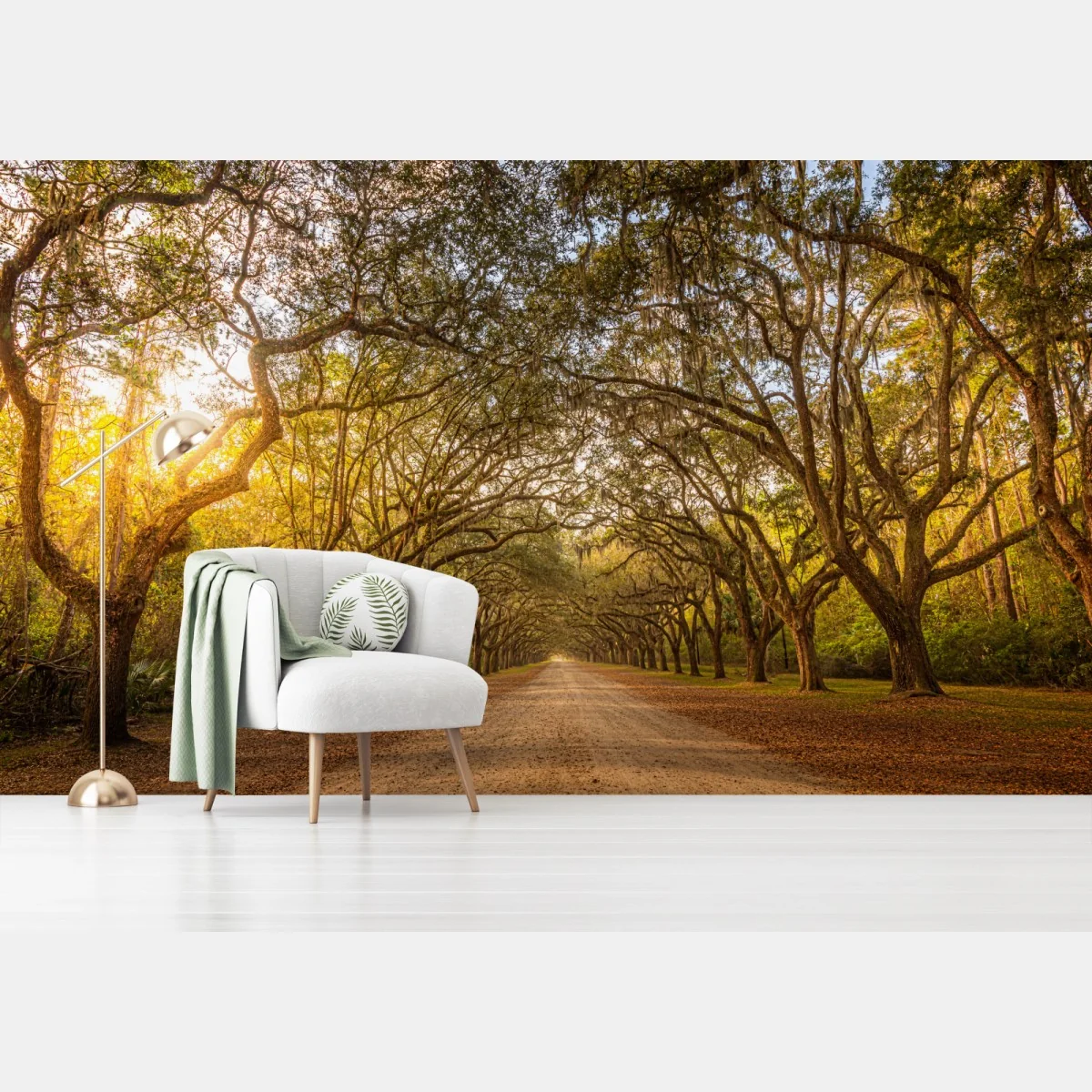 Fototapete sonnenbeschienene eichenallee bei Savannah – Wallnifity®