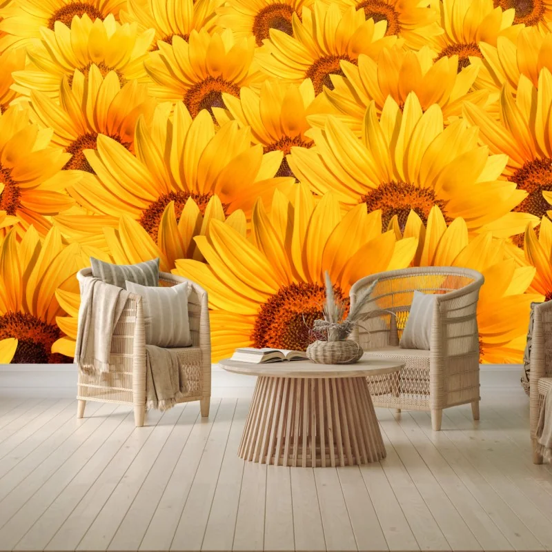 Fototapete goldenes sonnenblumenfeld – Wallnifity®