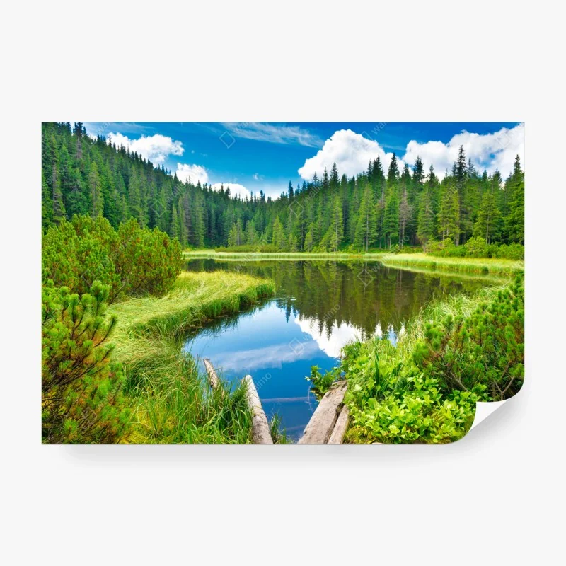 Fototapete aquarellmuster mit blaubeeren und brombeeren – Wallnifity®