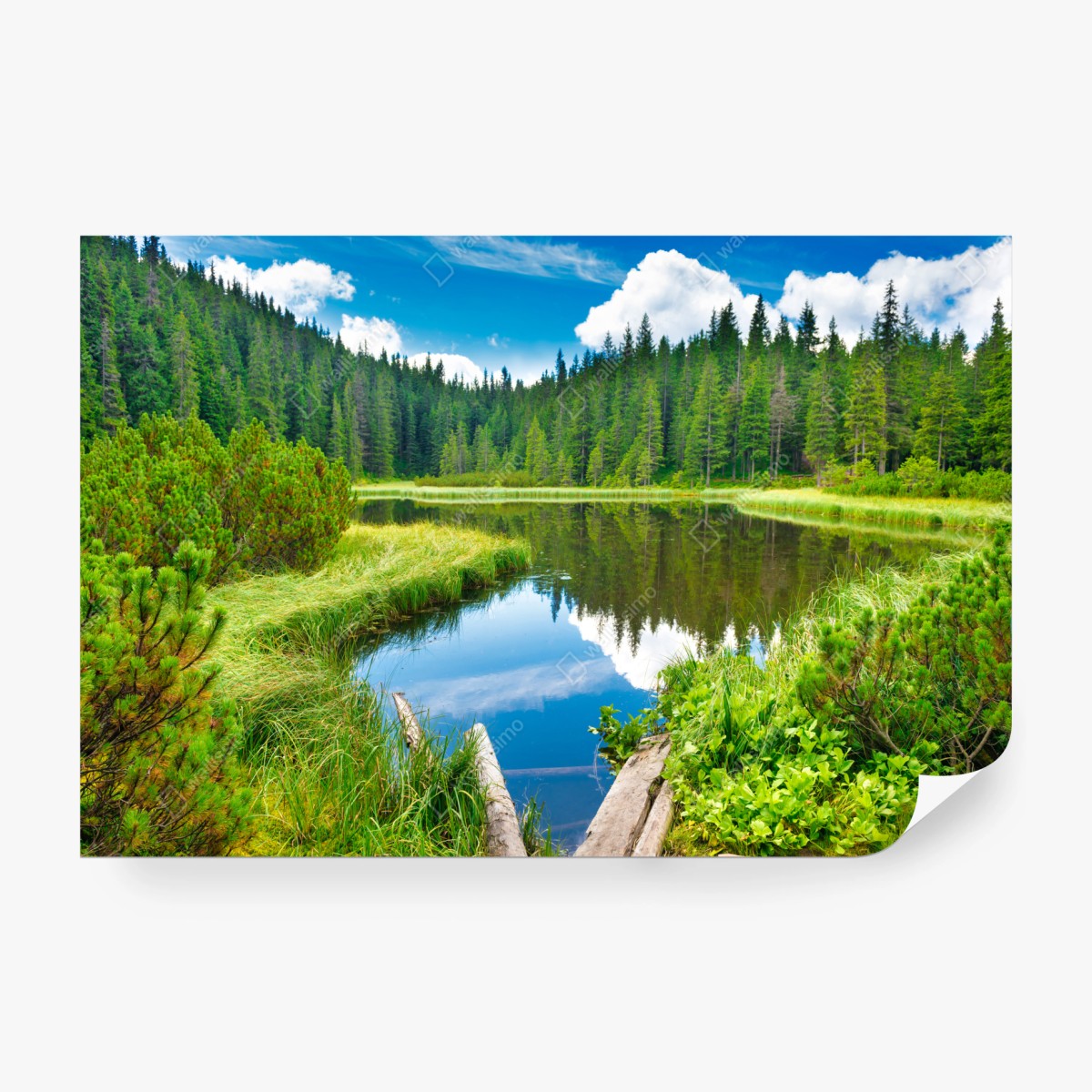 Fototapete ruhiger waldsee mit hölzerner brücke – Wallnifity® Fototapete ruhiger waldsee mit hölzerner brücke – Wallnifity®