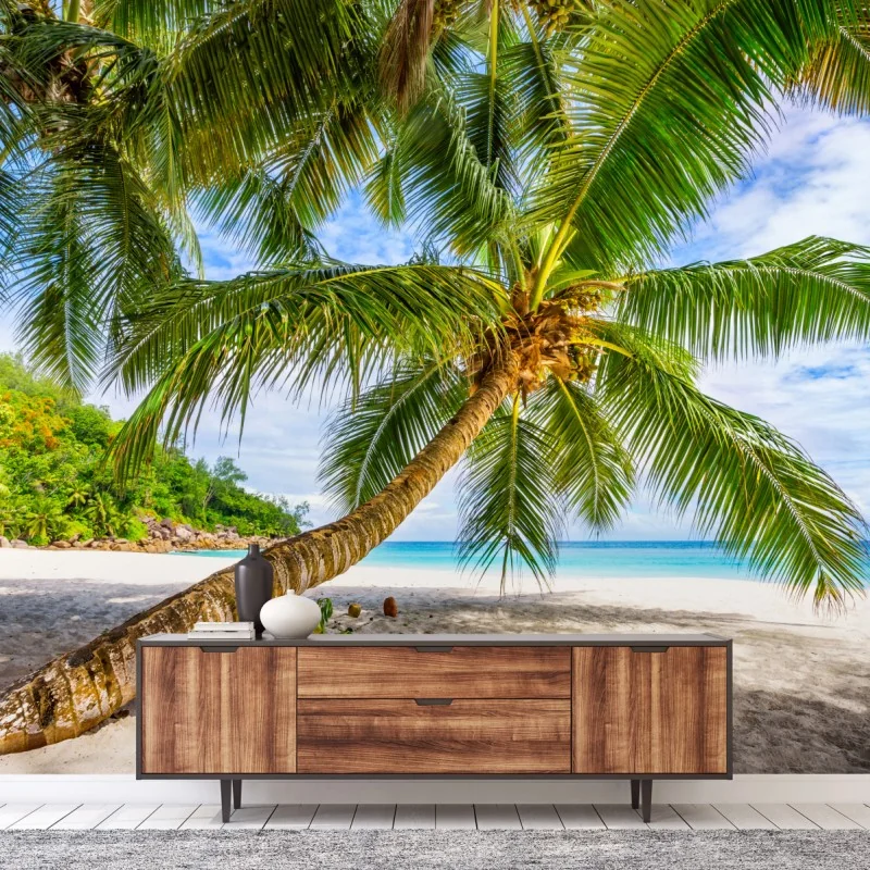 Fototapete tropische palme am weißen sandstrand – Wallnifity® Fototapete tropische palme am weißen sandstrand – Wallnifity®