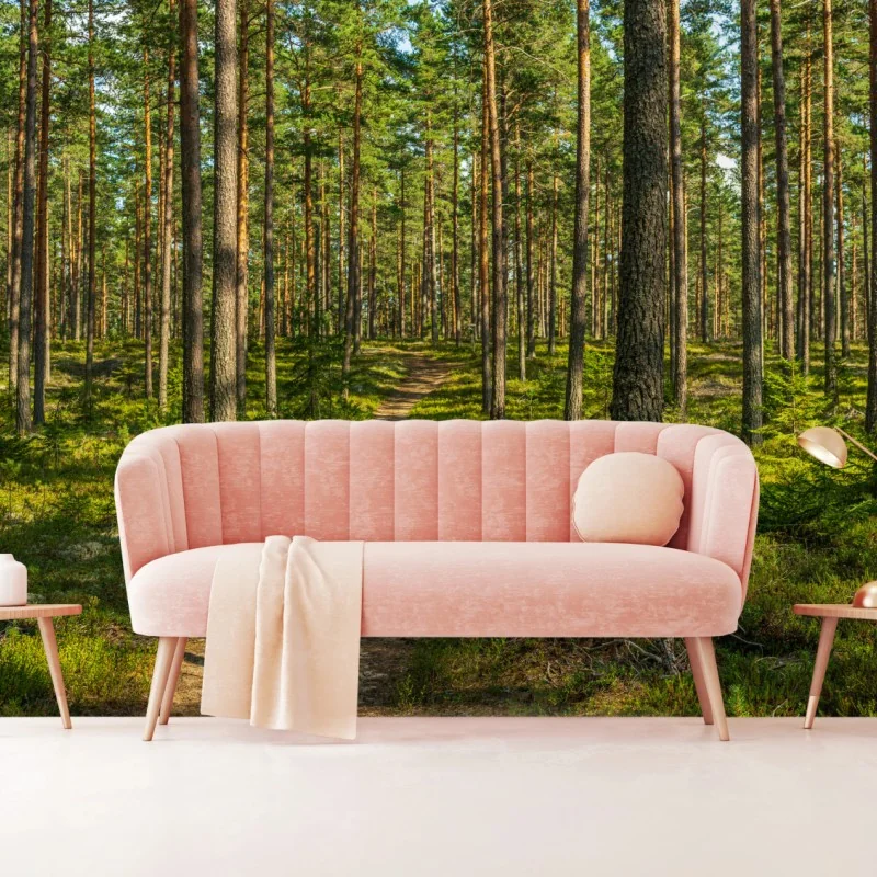 Fototapete sonniger kiefernwaldweg – Wallnifity®