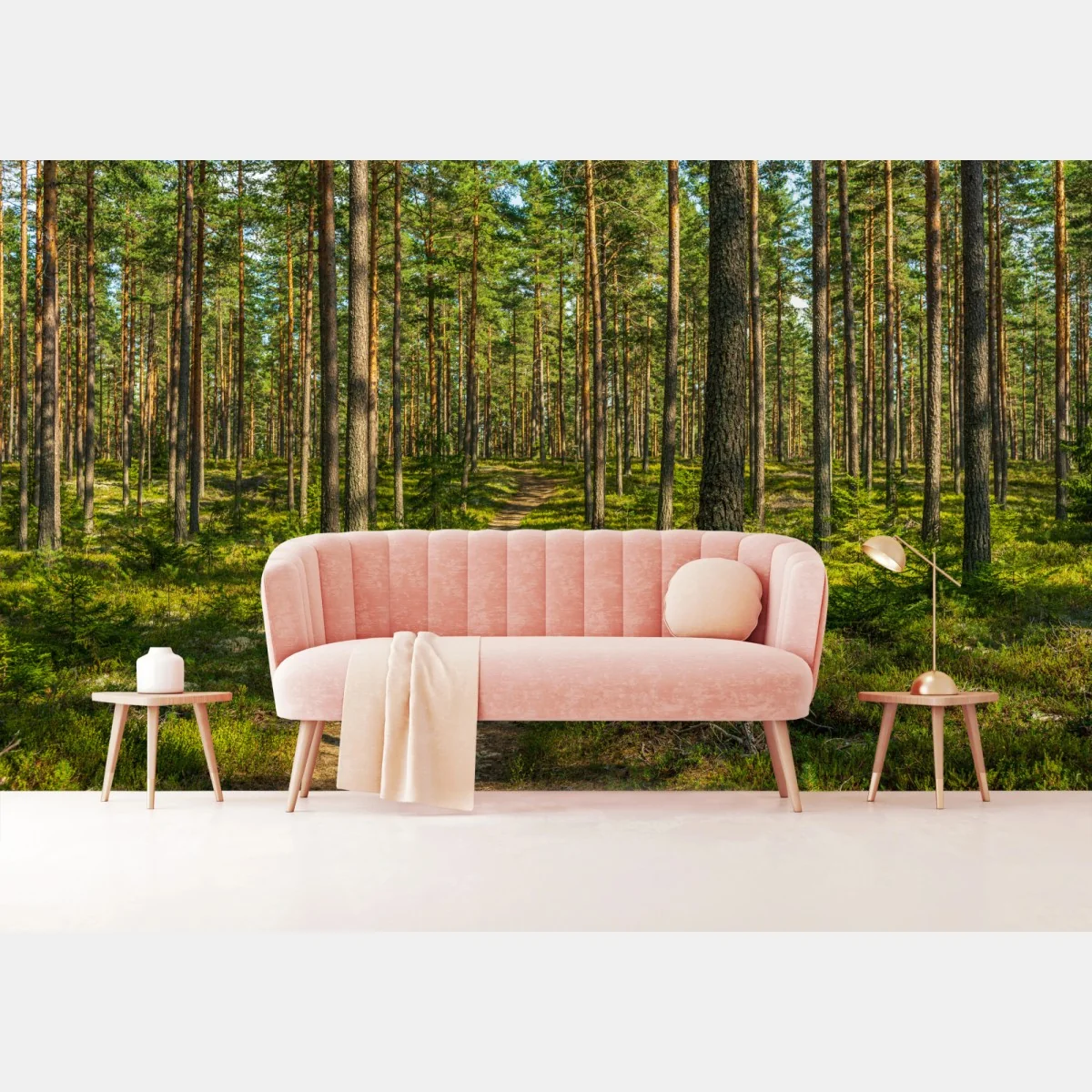 Fototapete sonniger kiefernwaldweg – Wallnifity®