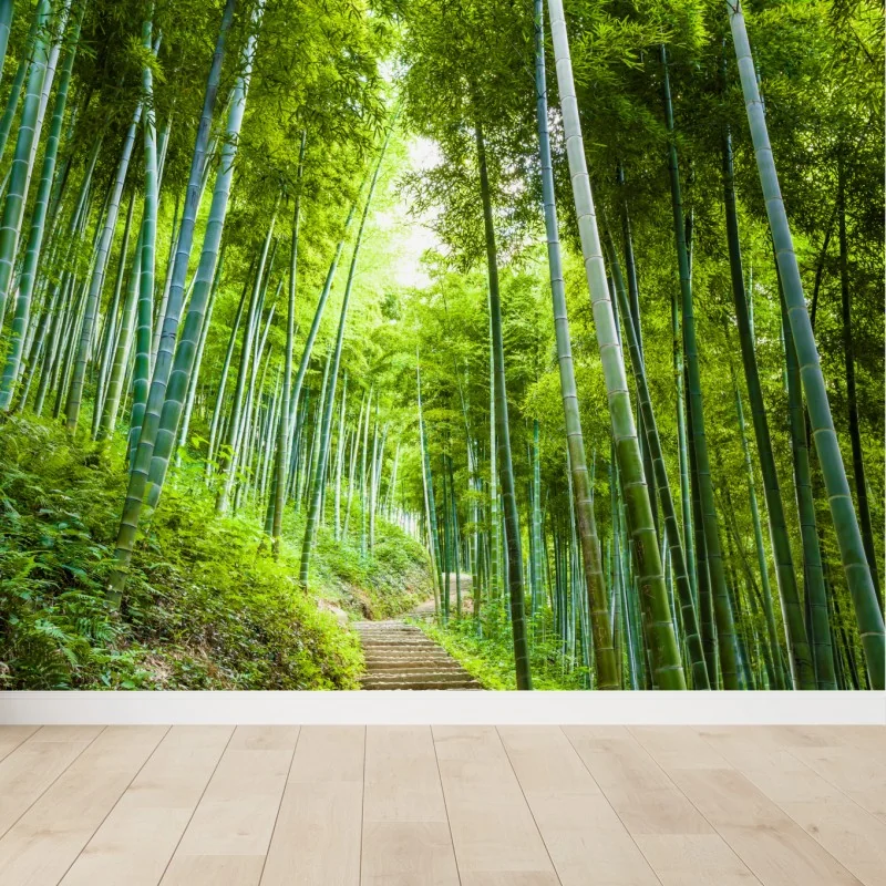 Fototapete ruhiger bambuswaldweg