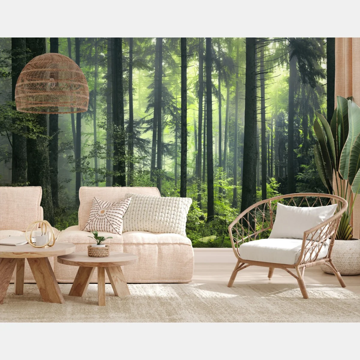 Fototapete mystischer grüner frühlingswald – Wallnifity® Fototapete mystischer grüner frühlingswald – Wallnifity®