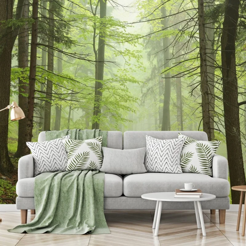 Fototapete nebliger grüner waldpfad – Wallnifity®