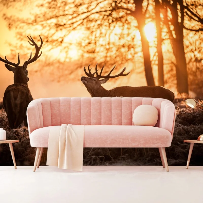 Fototapete goldener sonnenaufgang mit hirschen auf frostiger wiese – Wallnifity®