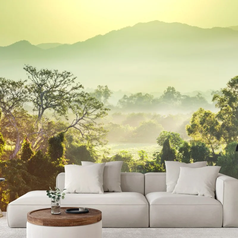 Fototapete nebliger dschungel in Vietnam bei sonnenaufgang