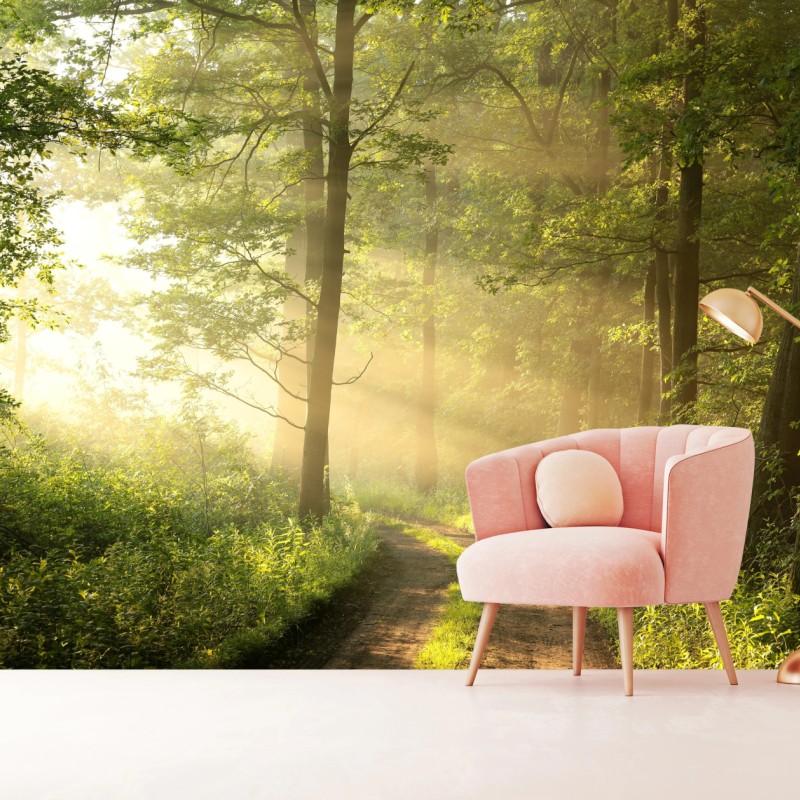 Fototapete morgendliches licht im wald