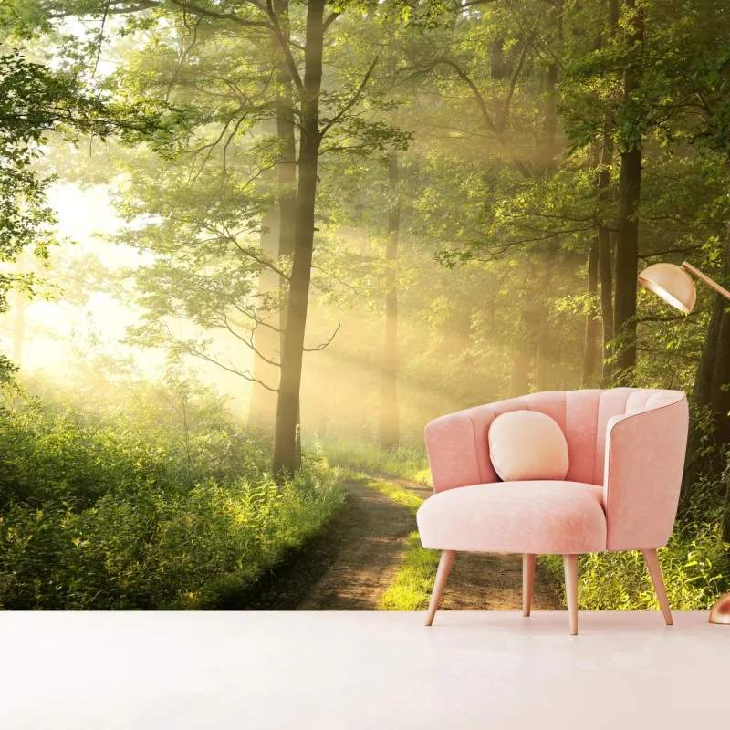 Fototapete morgendliches licht im wald – Wallnifity®