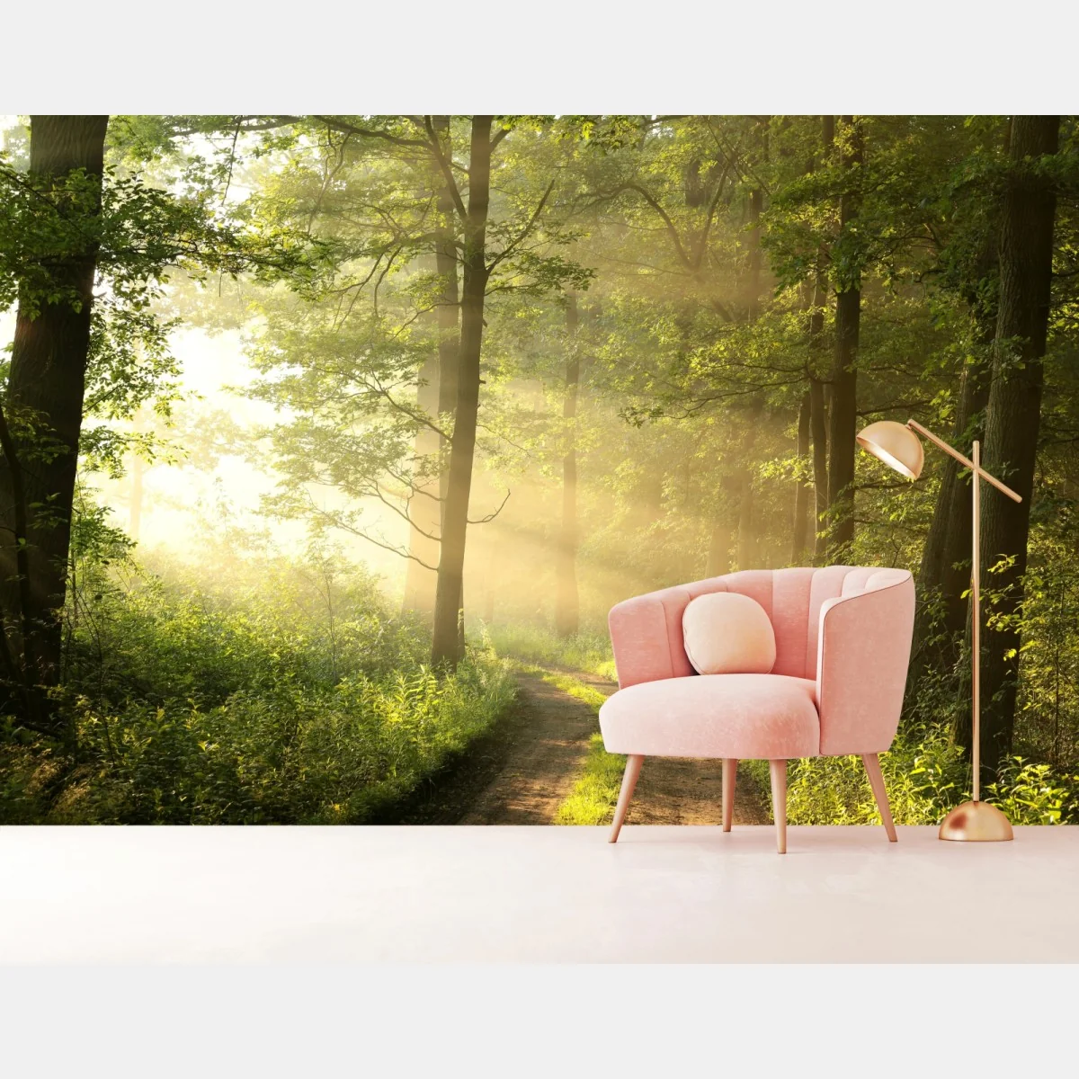 Fototapete morgendliches licht im wald – Wallnifity®