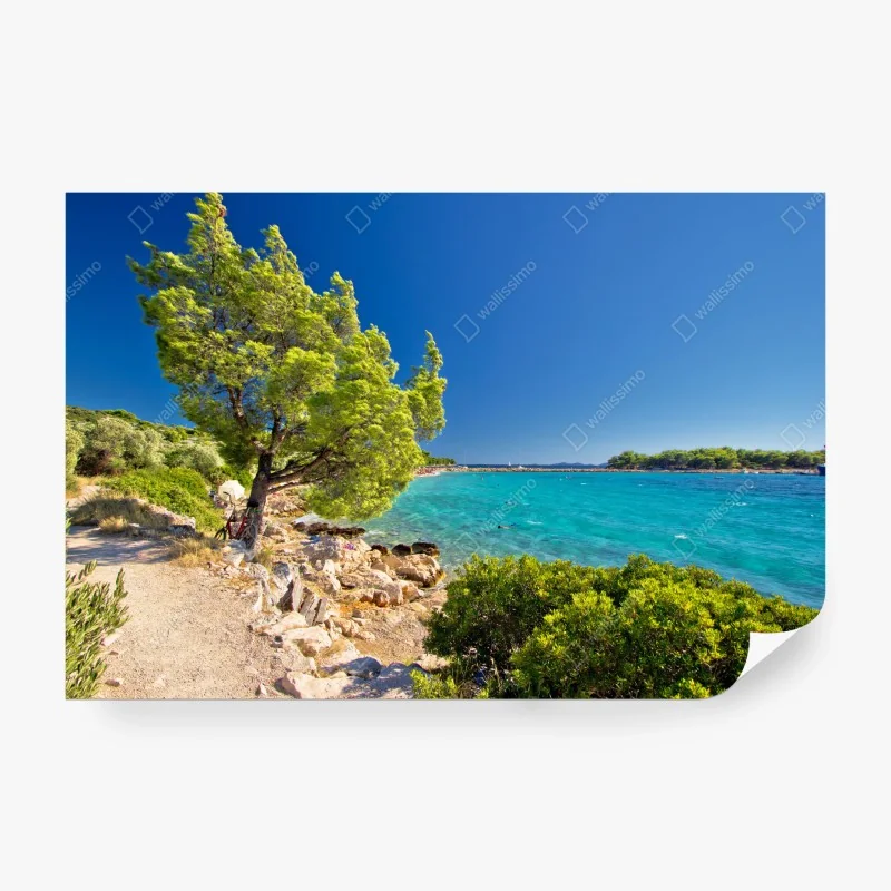 Fototapete idyllischer türkisfarbener strand auf der Insel Murter