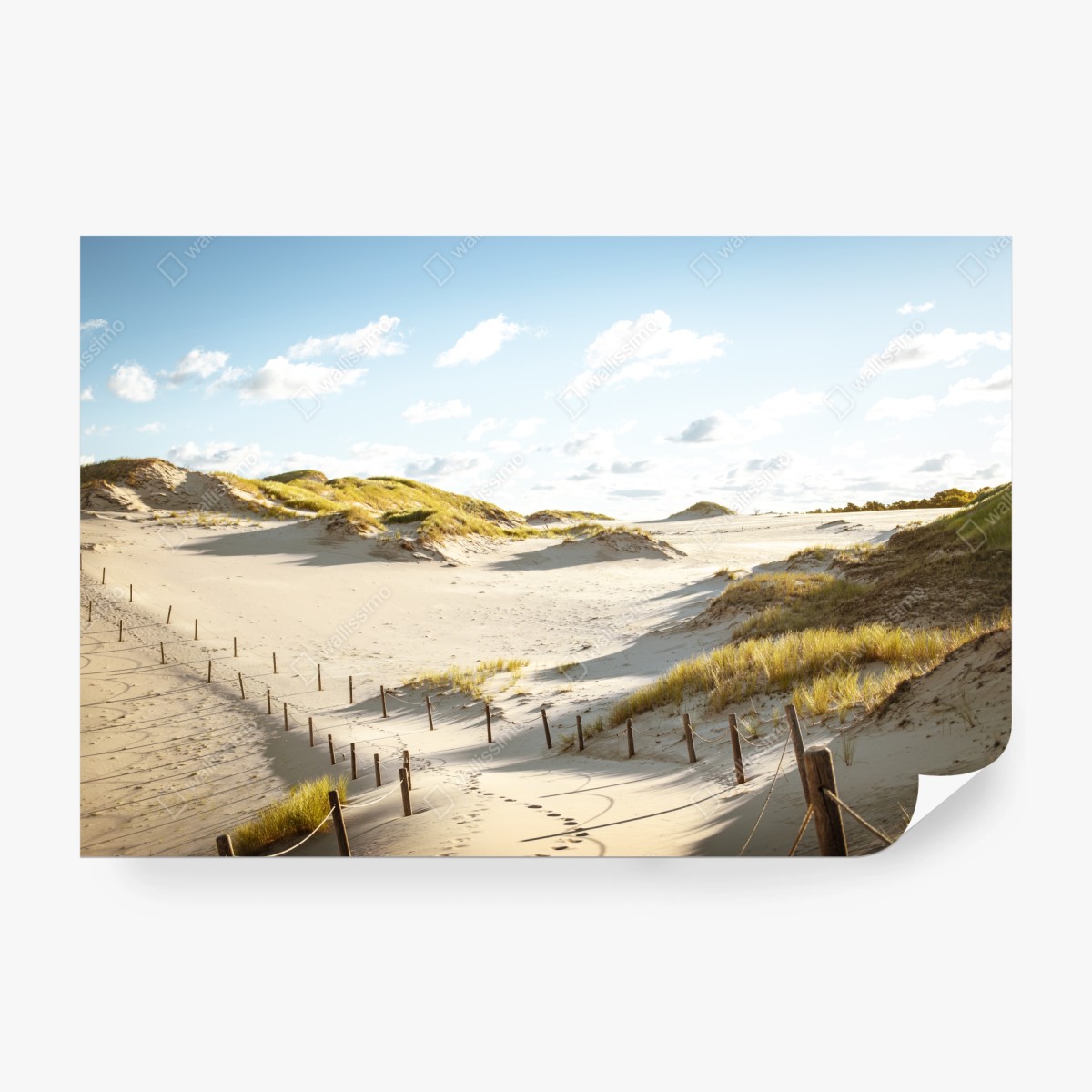 Fototapete ruhige dünen im Slowinski Nationalpark – Wallnifity® Fototapete ruhige dünen im Slowinski Nationalpark – Wallnifity®