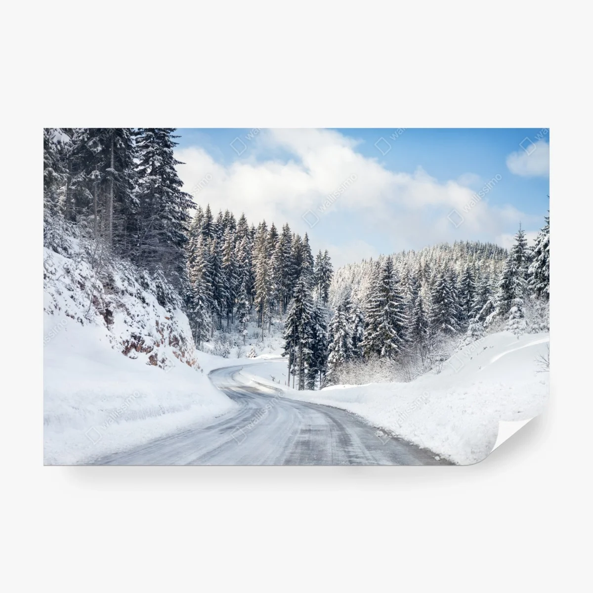 Fototapete winterstraße durch verschneiten nadelwald – Wallnifity®