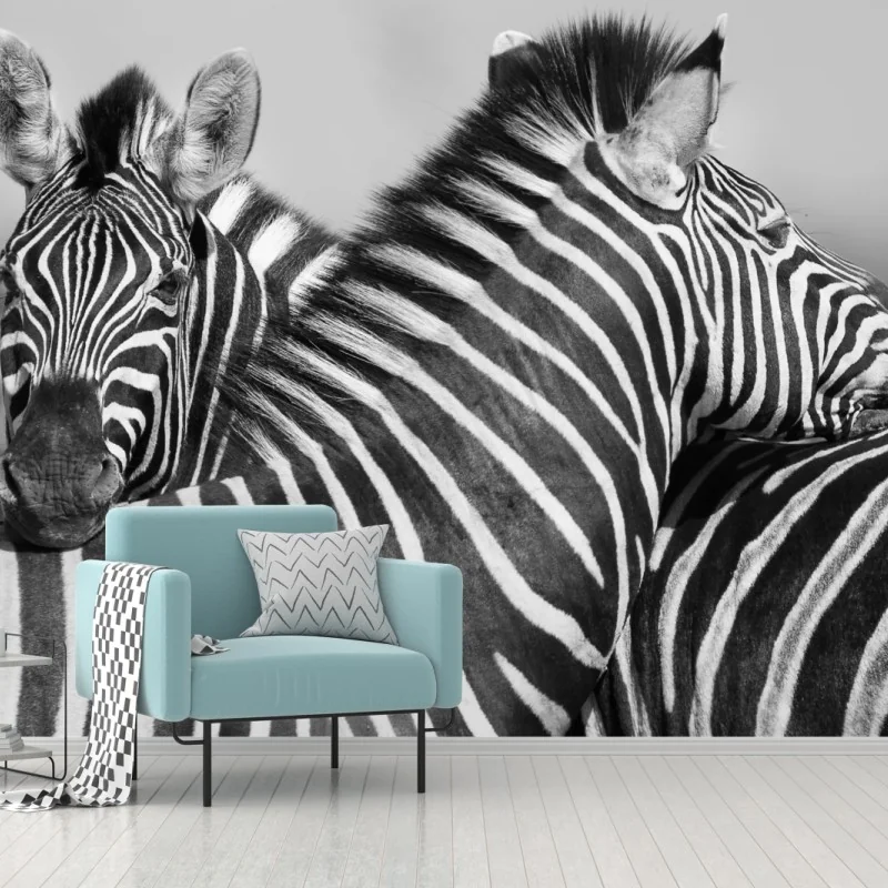 Fototapete verschlungene zebras in monochrom