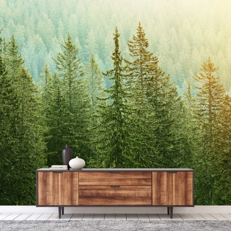 Fototapete sonnenbeschienener nadelwald