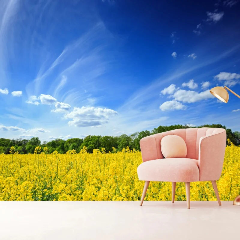Fototapete polnisches rapsfeld unter blauem himmel